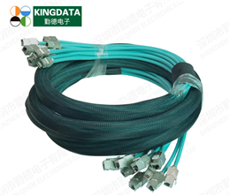Customized Cat6a Shielded (SFTP) Pre-Terminated Copper Trunk Cable